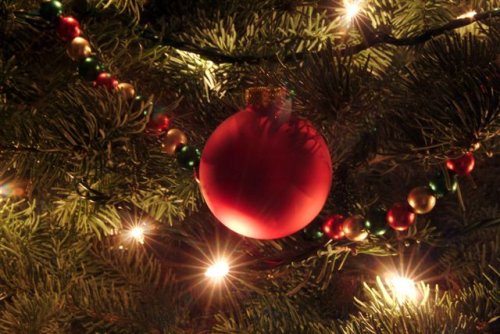 christmas tree